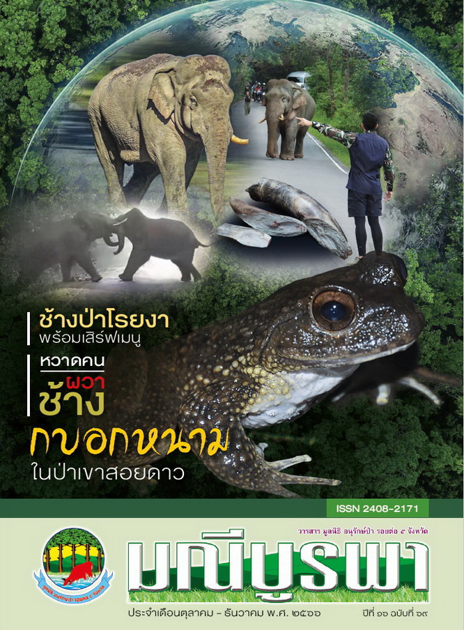 วารสารมณีบูรพา ปีที่ 16 ฉบับที่ 69 เดือนตุลาคม – ธันวาคม 2566